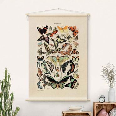 Wandtapijt - Vintage Teaching Illustration Butterflies