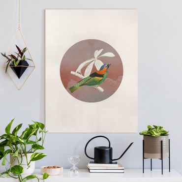 Canvas schilderijen Bird Collage In A Circle ll