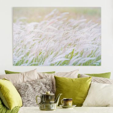 Canvas schilderijen Soft Grasses
