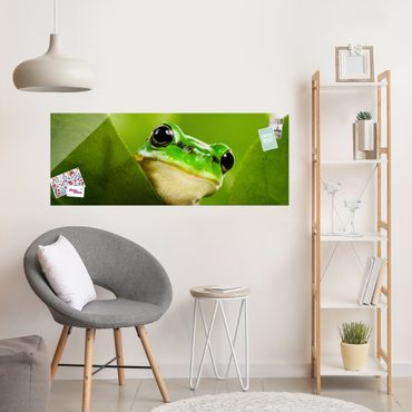 Glasschilderijen Frog