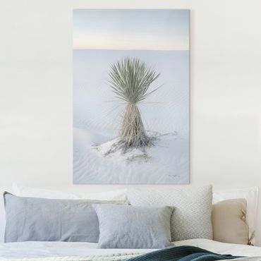 Canvas schilderijen - Yucca palm in white sand