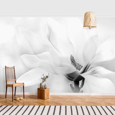 Fotobehang Delicate Magnolia Flowers Black and White