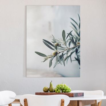 Canvas schilderijen - Delicate olive branch in blossom