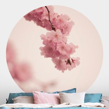 Behangcirkel Pale Pink Spring Flower With Bokeh
