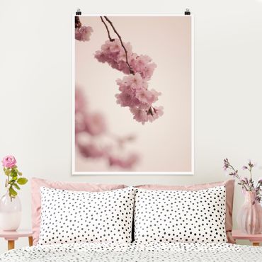 Posters Pale Pink Spring Flower With Bokeh