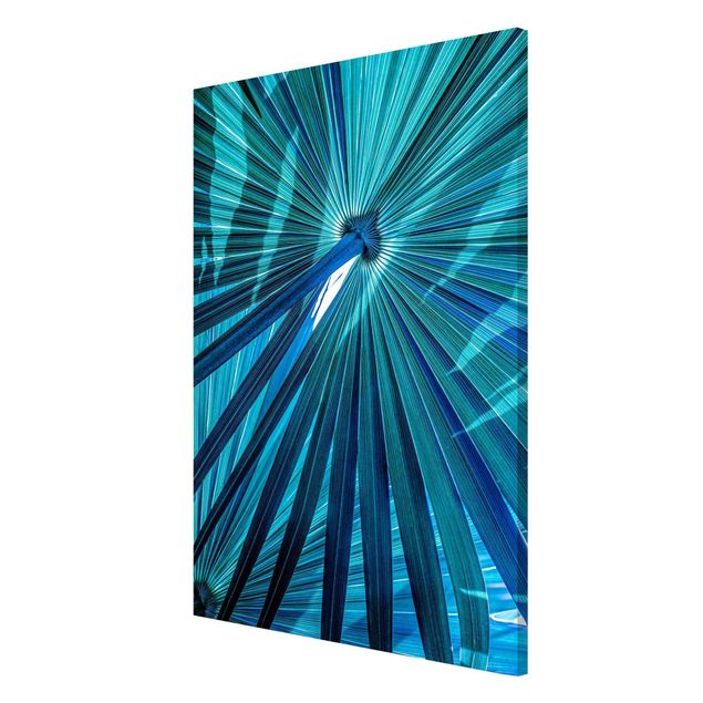 Magneetborden Tropical Plants Palm Leaf In Turquoise