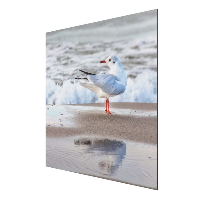 Aluminium Dibond schilderijen Seagull On The Beach In Front Of The Sea