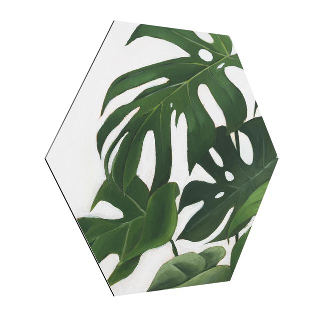Hexagons Aluminium Dibond schilderijen Favorite Plants - Monstera