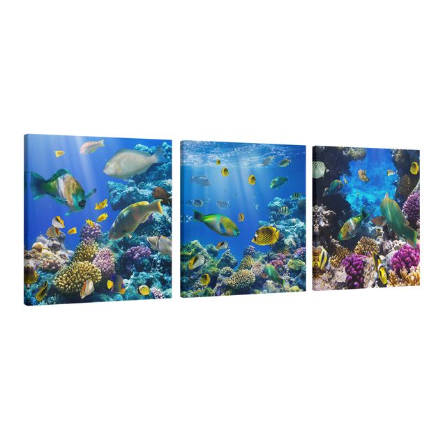 Canvas schilderijen - 3-delig Underwater Trio