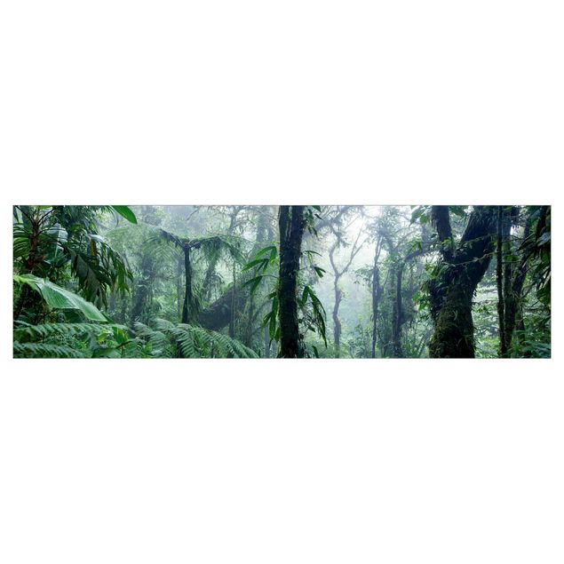 Keukenachterwanden Monteverde Cloud Forest
