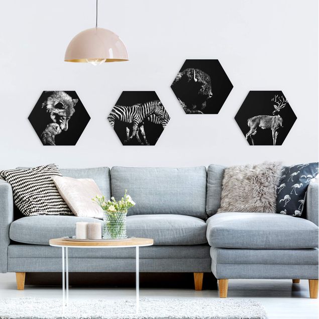 Hexagons Aluminium Dibond schilderijen - 4-delig Wild Animals From Black Set II