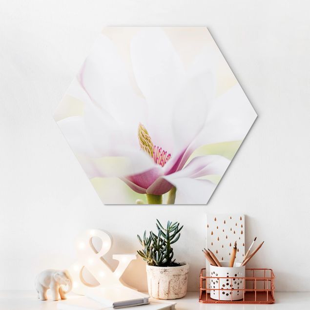 Hexagons Aluminium Dibond schilderijen Delicate Magnolia Blossom