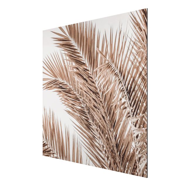 Aluminium Dibond schilderijen Bronze Coloured Palm Fronds
