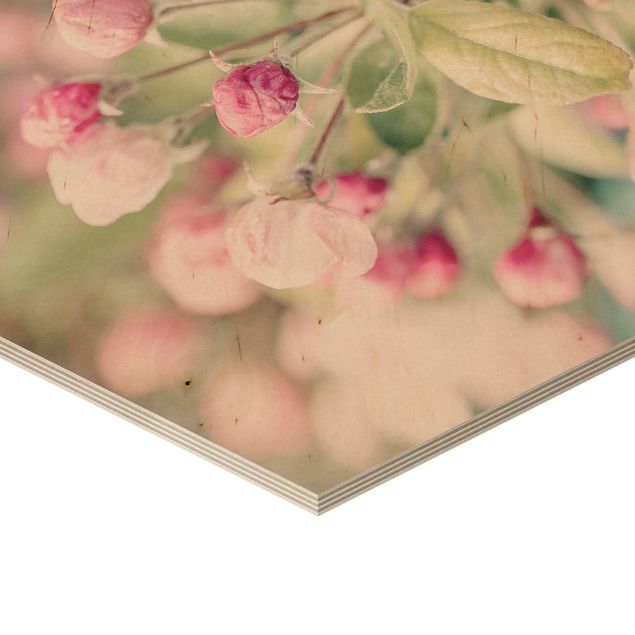 Hexagons houten schilderijen Apple Blossom Pink Bokeh
