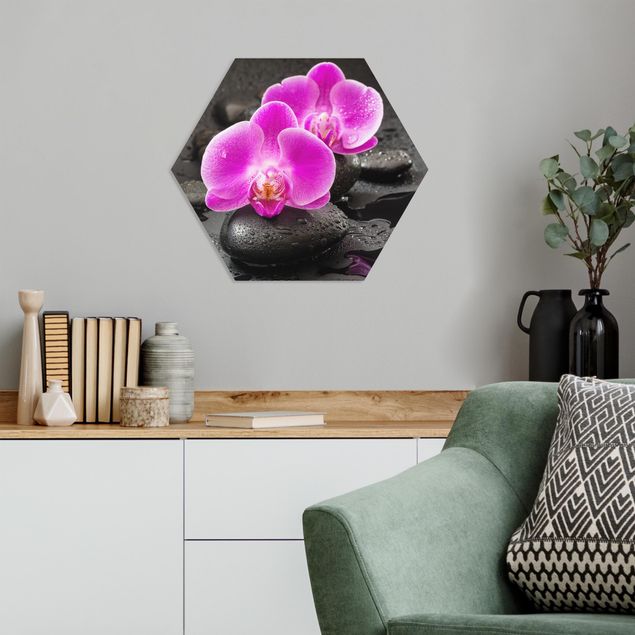 Hexagons Forex schilderijen Pink Orchid Flowers On Stones With Drops