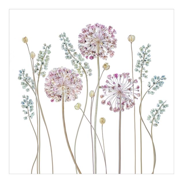 Fotobehang - Allium Illustration