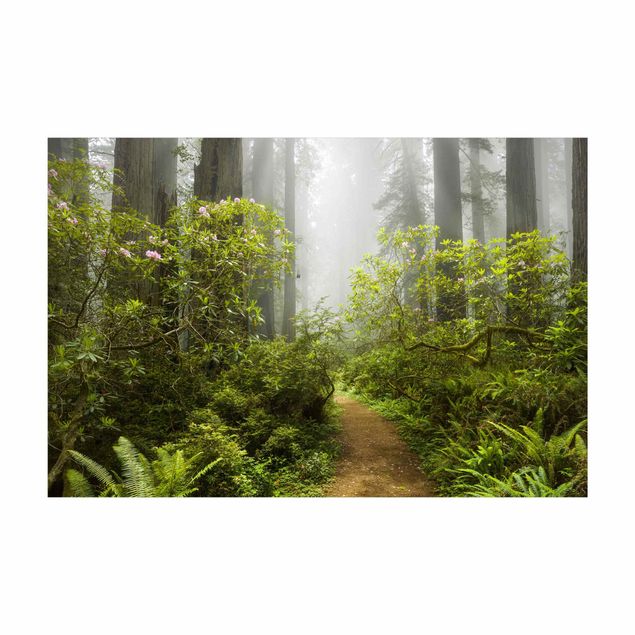 natuurlijk vloerkleed Misty Forest Path