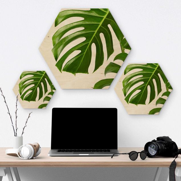 Hexagons houten schilderijen Green Leaves Monstera