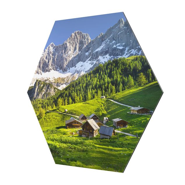 Hexagons Aluminium Dibond schilderijen Styria Alpine Meadow