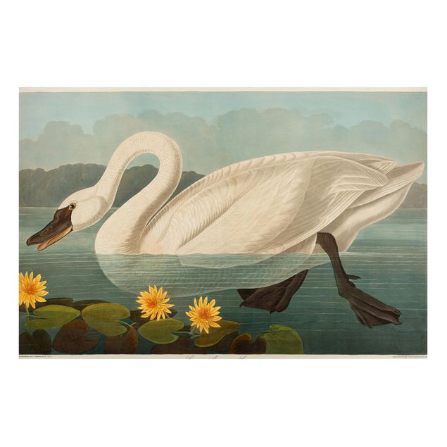 Magneetborden Vintage Board American Swan