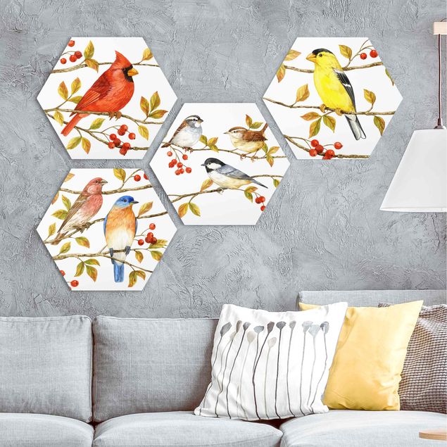 Hexagons Aluminium Dibond schilderijen - 4-delig Birds And Berries Set II