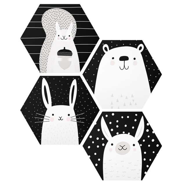 Hexagons Aluminium Dibond schilderijen - 4-delig Zoo - Squirrel Polar Hare IIama