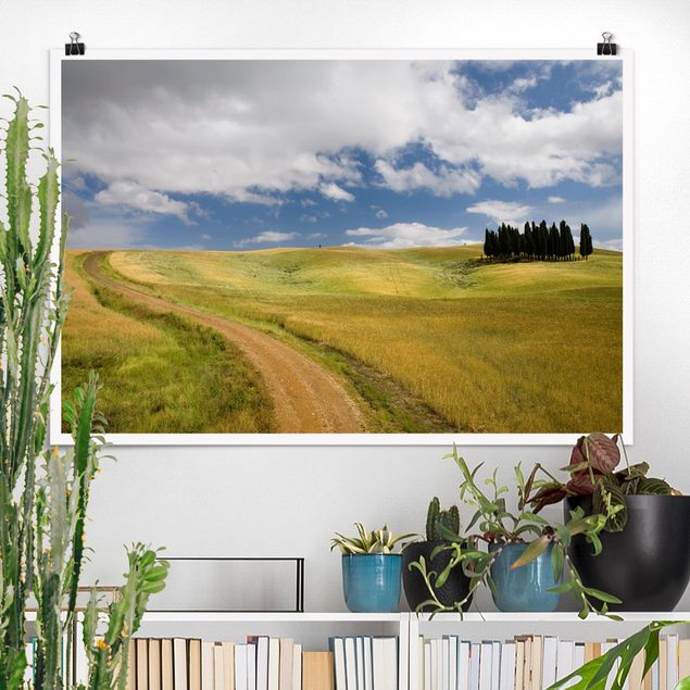 Posters Cypresses In Tuscany