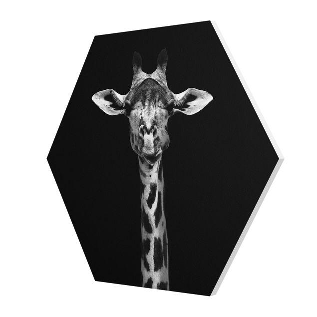 Hexagons Forex schilderijen Dark Giraffe Portrait