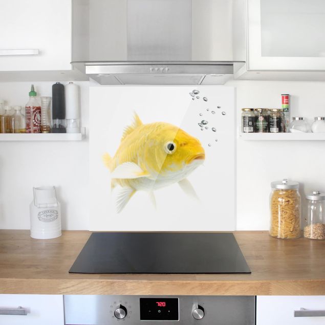 Spatscherm keuken Goldfish Yellow