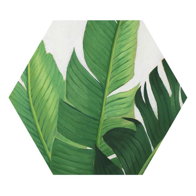 Hexagons Aluminium Dibond schilderijen Favorite Plants - Banana
