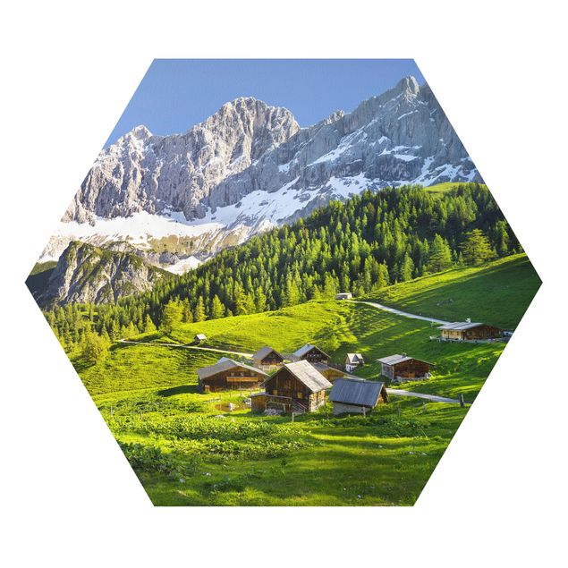Hexagons Forex schilderijen Styria Alpine Meadow