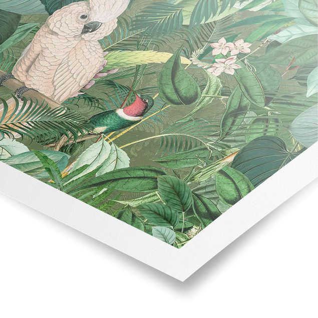 Posters Vintage Collage - Kakadu And Hummingbird