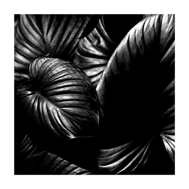 Vloerkleed natuur Black And White Botany Hosta
