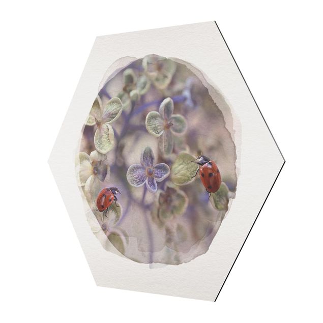 Hexagons Aluminium Dibond schilderijen WaterColours - Ladybugs In The Garden