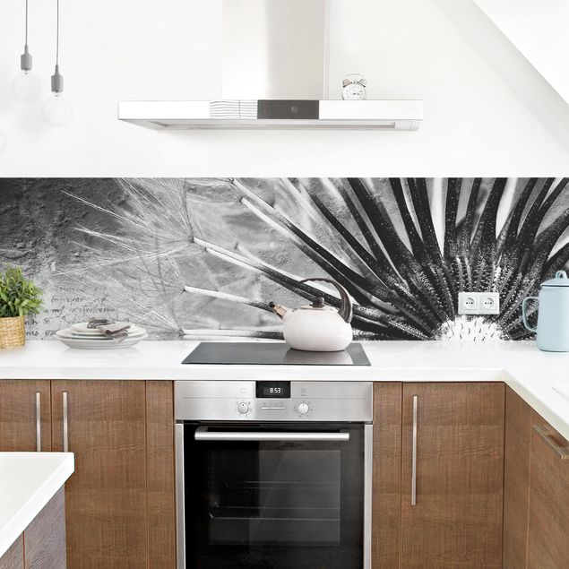 Achterwand voor keuken Dandelion Black & White