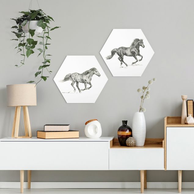 Hexagons Forex schilderijen - 2-delig Wild Horse Study Set I