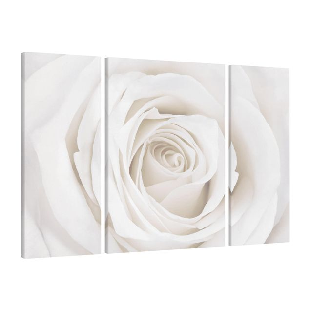 Canvas schilderijen - 3-delig Pretty White Rose
