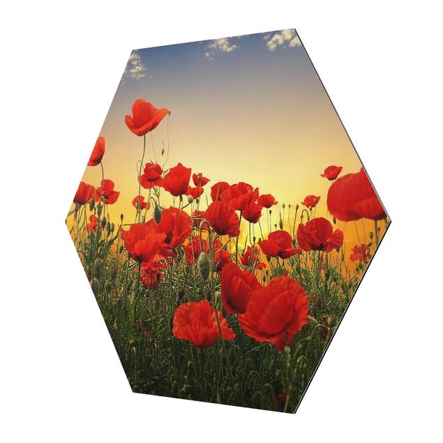 Hexagons Aluminium Dibond schilderijen Poppy Field In Sunset