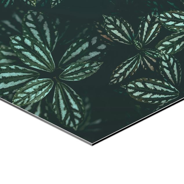Hexagons Aluminium Dibond schilderijen - 6-delig Green Leaves Set II
