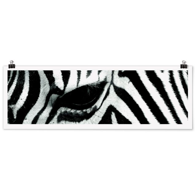 Posters Zebra Crossing