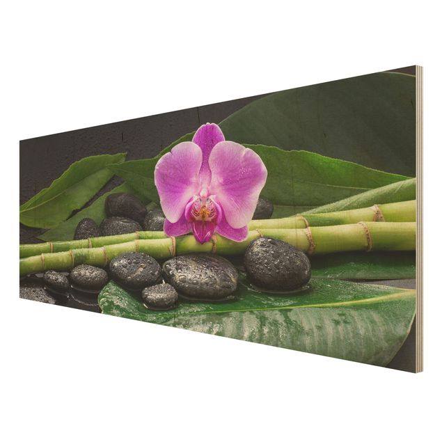 Houten schilderijen Green Bamboo With Orchid Flower