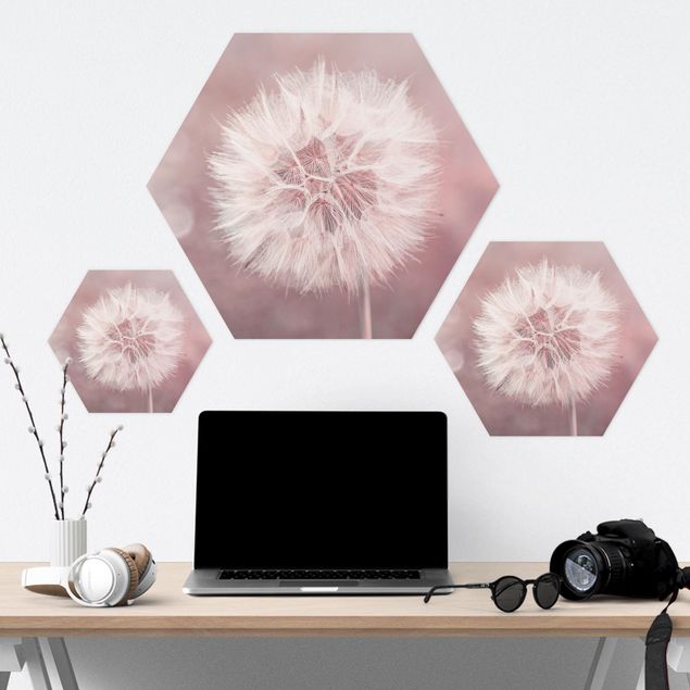 Hexagons Forex schilderijen Dandelion Pink Bokeh