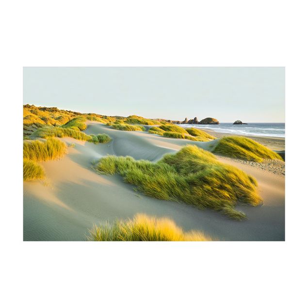 Vloerkleed eetkamer Dunes And Grasses At The Sea