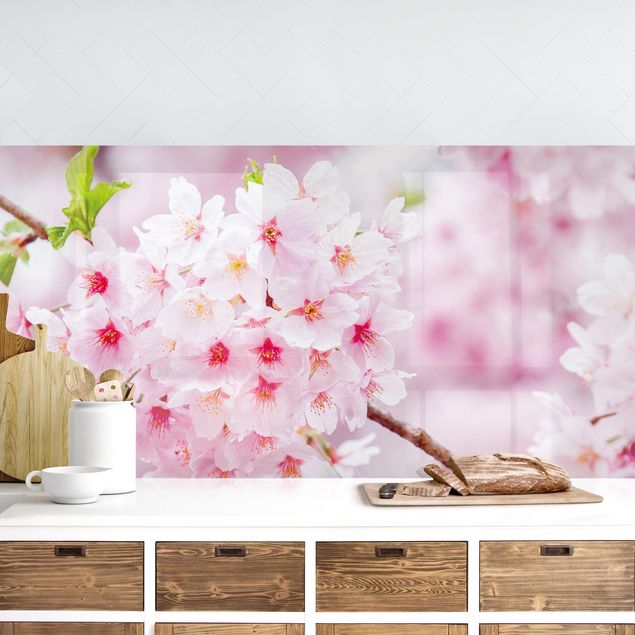 Achterwand voor keuken steden en skylines Japanese Cherry Blossoms