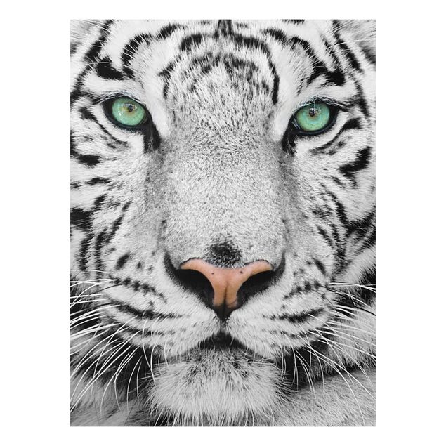 Forex schilderijen White Tiger