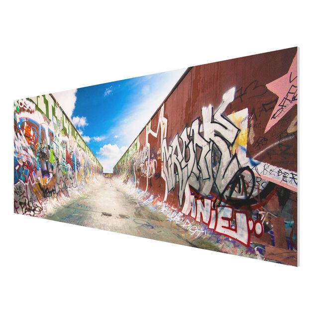Forex schilderijen Skate Graffiti
