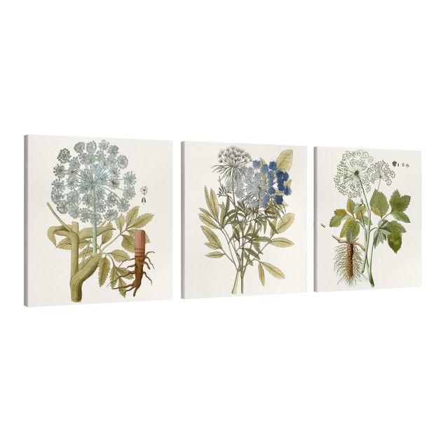 Canvas schilderijen - 3-delig Wild Herbs Board Set I
