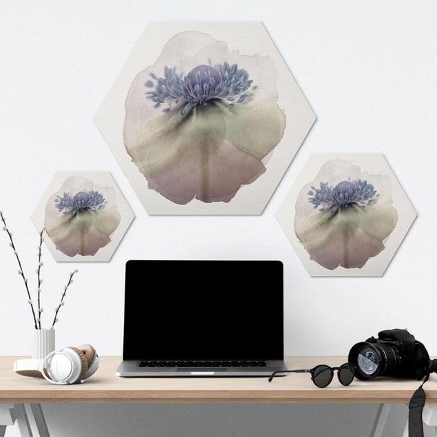 Hexagons Aluminium Dibond schilderijen WaterColours - Anemone In Violet