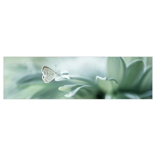 Keukenachterwanden Butterfly And Dew Drops In Pastel Green