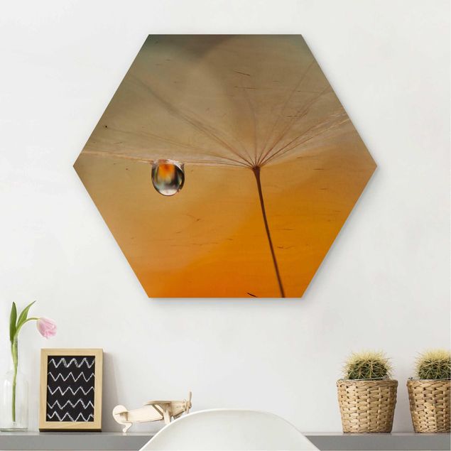 Hexagons houten schilderijen Dandelion In Orange